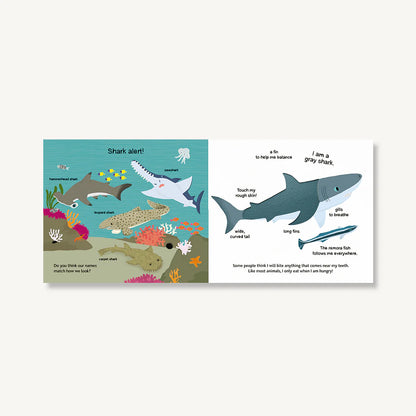 Touch and Explore : The Ocean