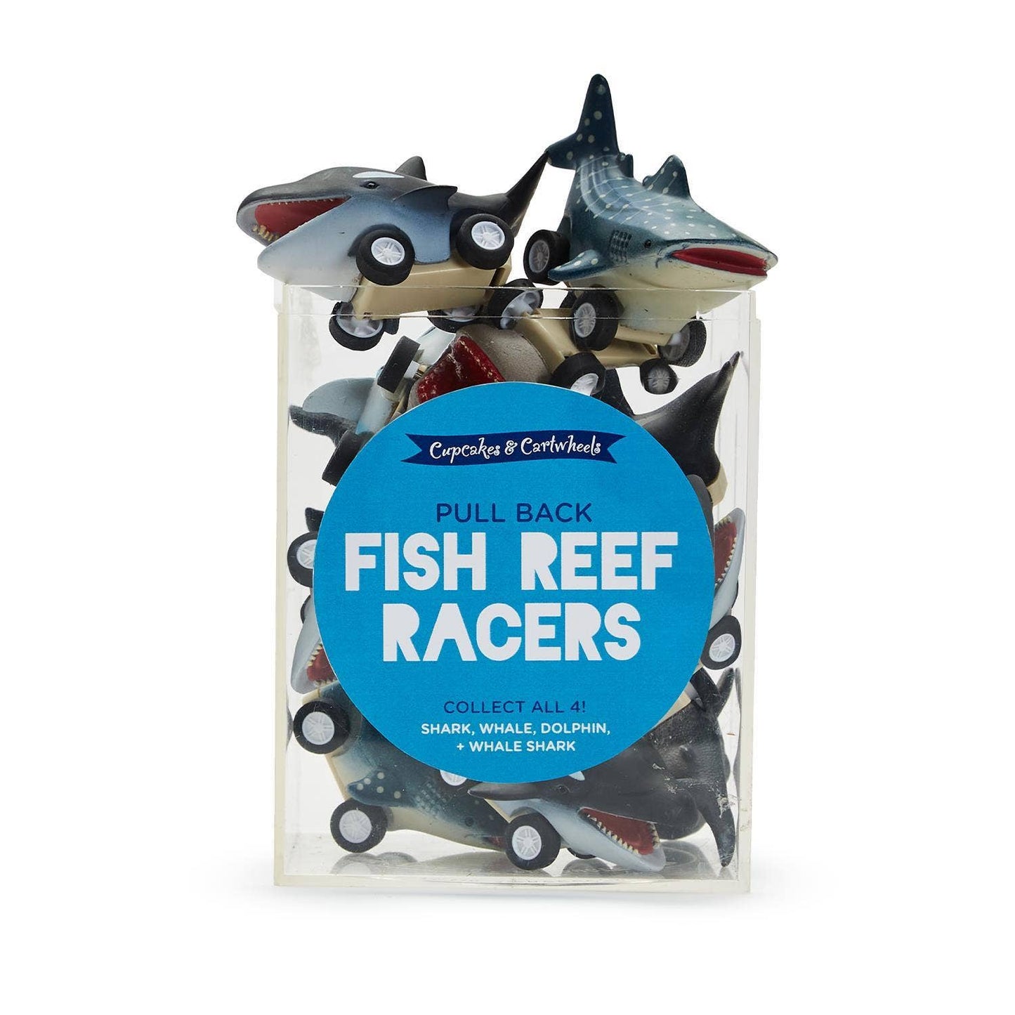 Fish Pull Back Toy | Assorted