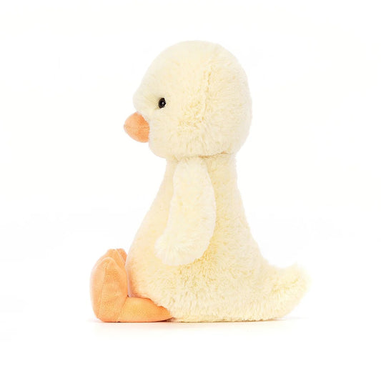 Bashful Duckling | Medium