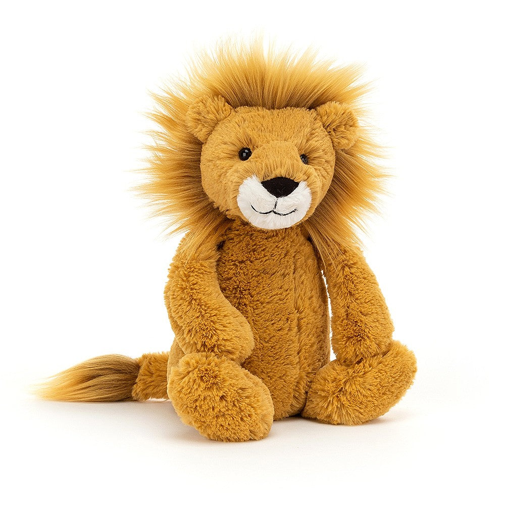 Bashful Lion | Medium