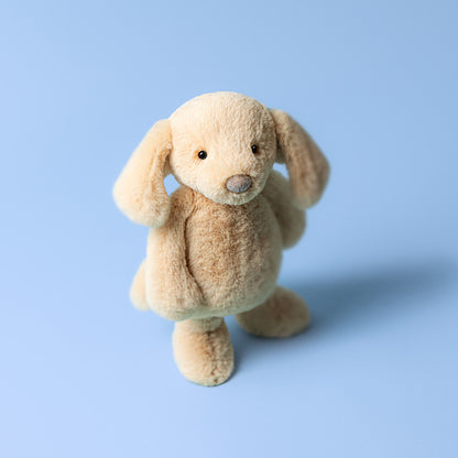 Bashful Luxe Puppy Orlando | Medium