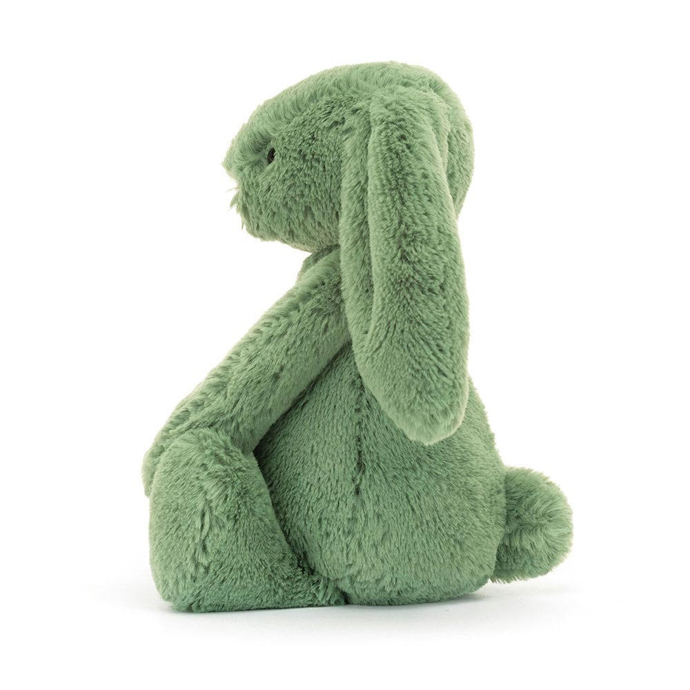 Little Bashful Bunny | Ivy