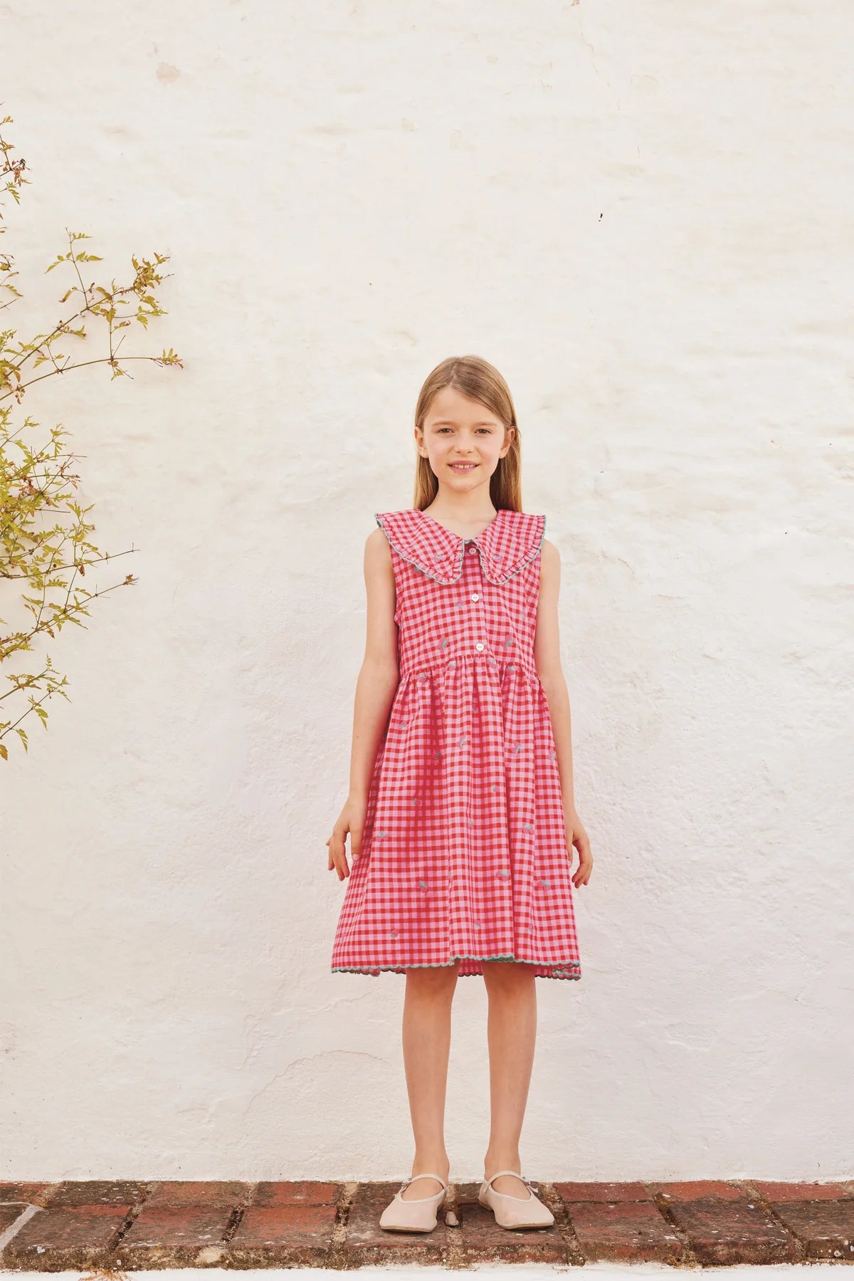 Alisa Dress | Raspberry Check