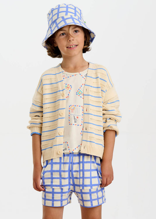 Jersey Shorts | Blue Checker