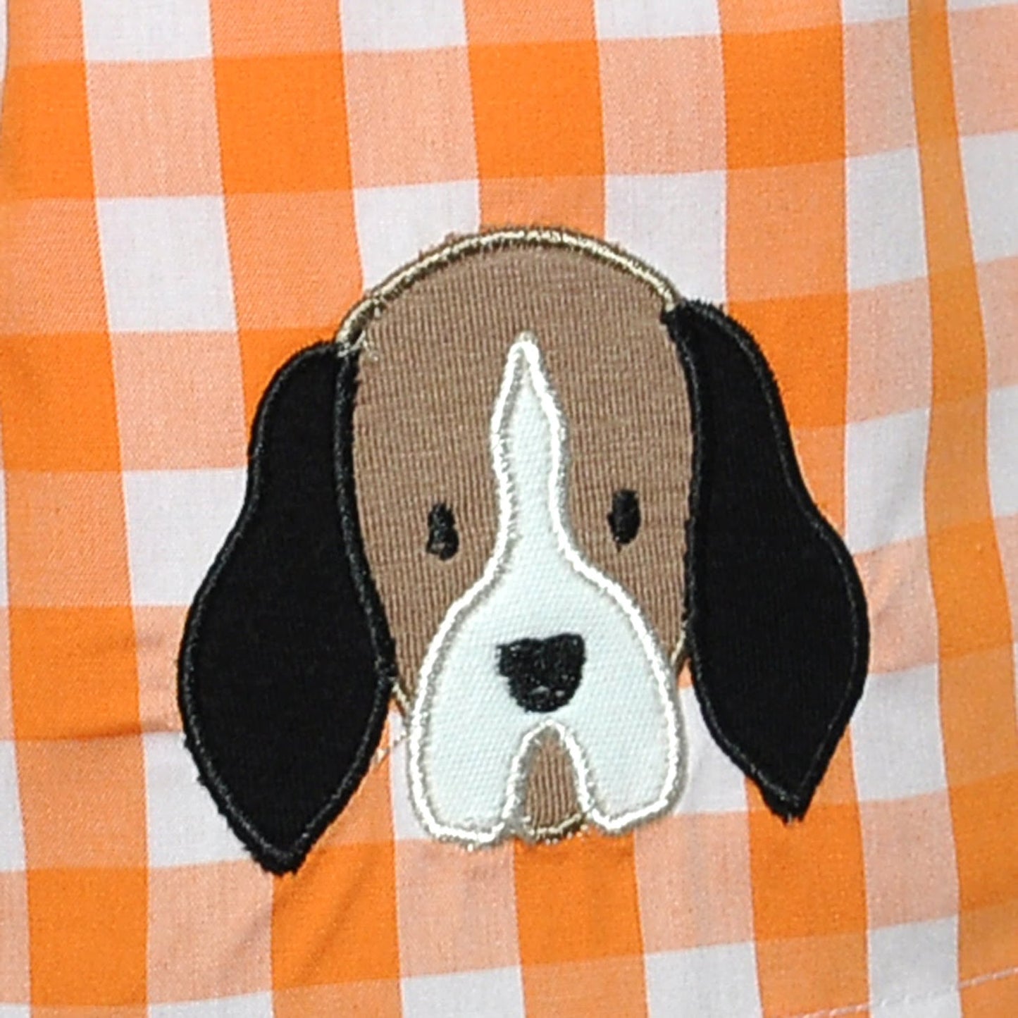 Orange & White Shorts