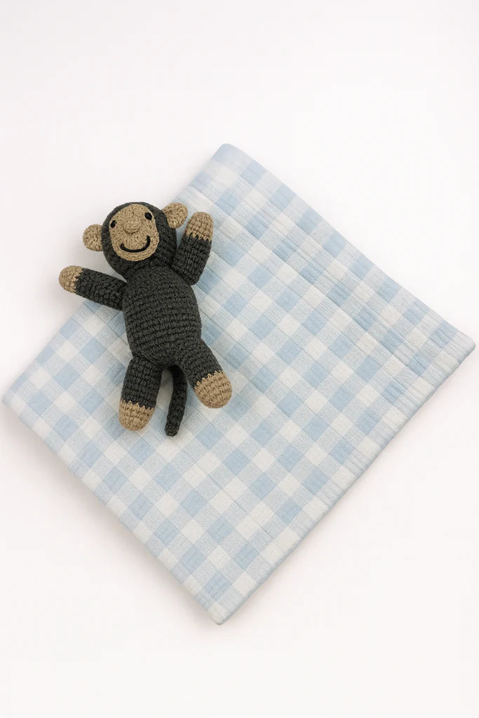 Gingham Check Baby Blanket | Blue