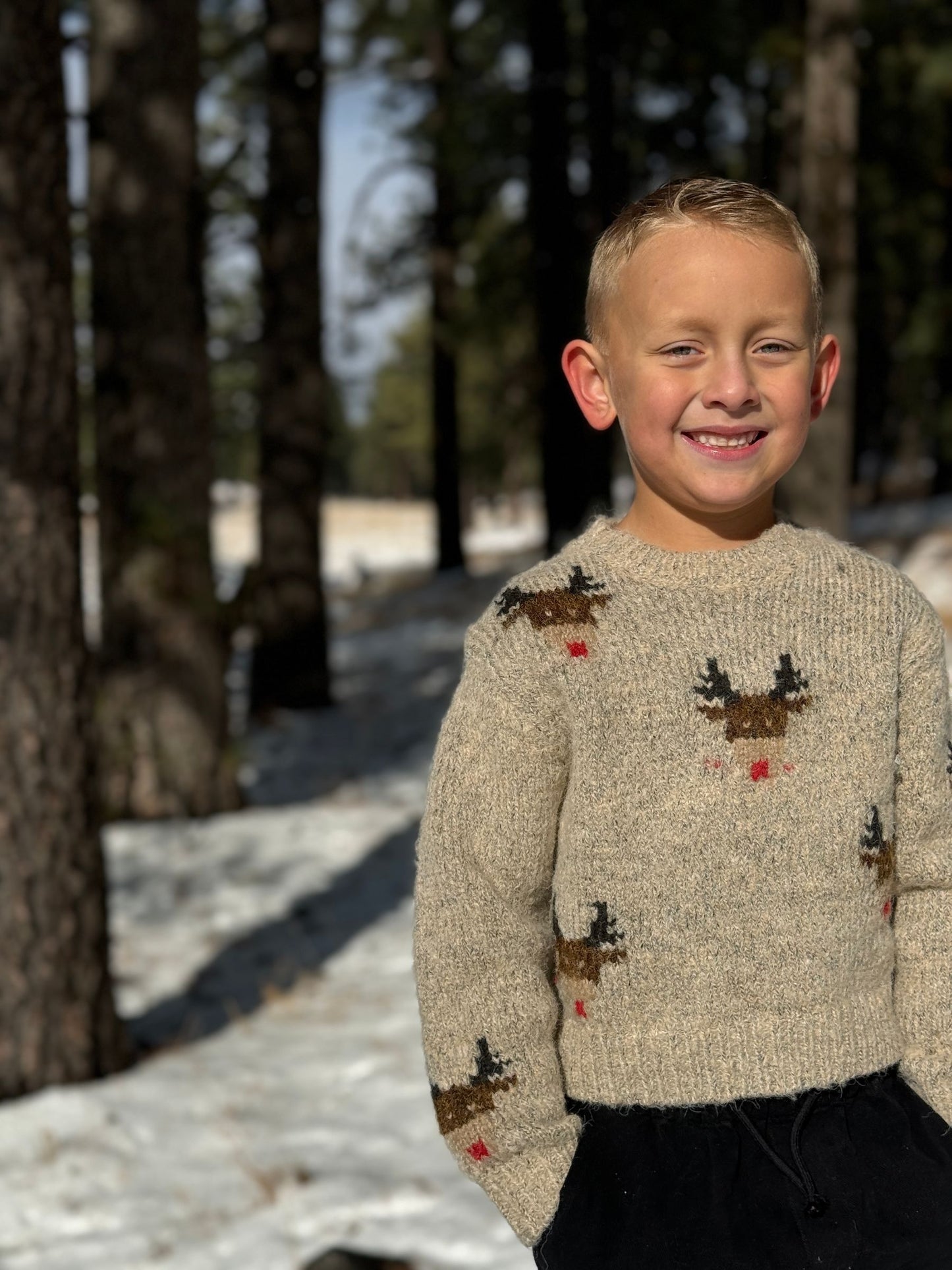 Rudy Sweater | Beige Reindeer