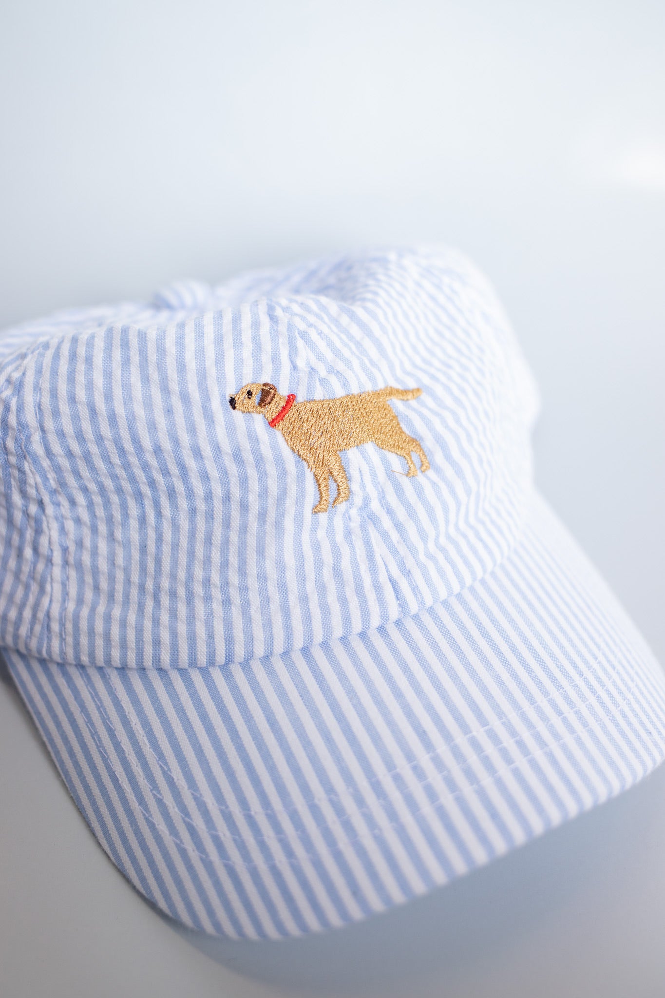 Embroidered Seersucker Ball Cap | Blue Dog