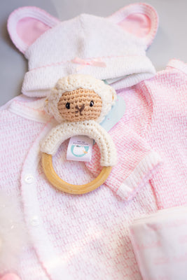 Rattles, Teethers, and Paci Clips