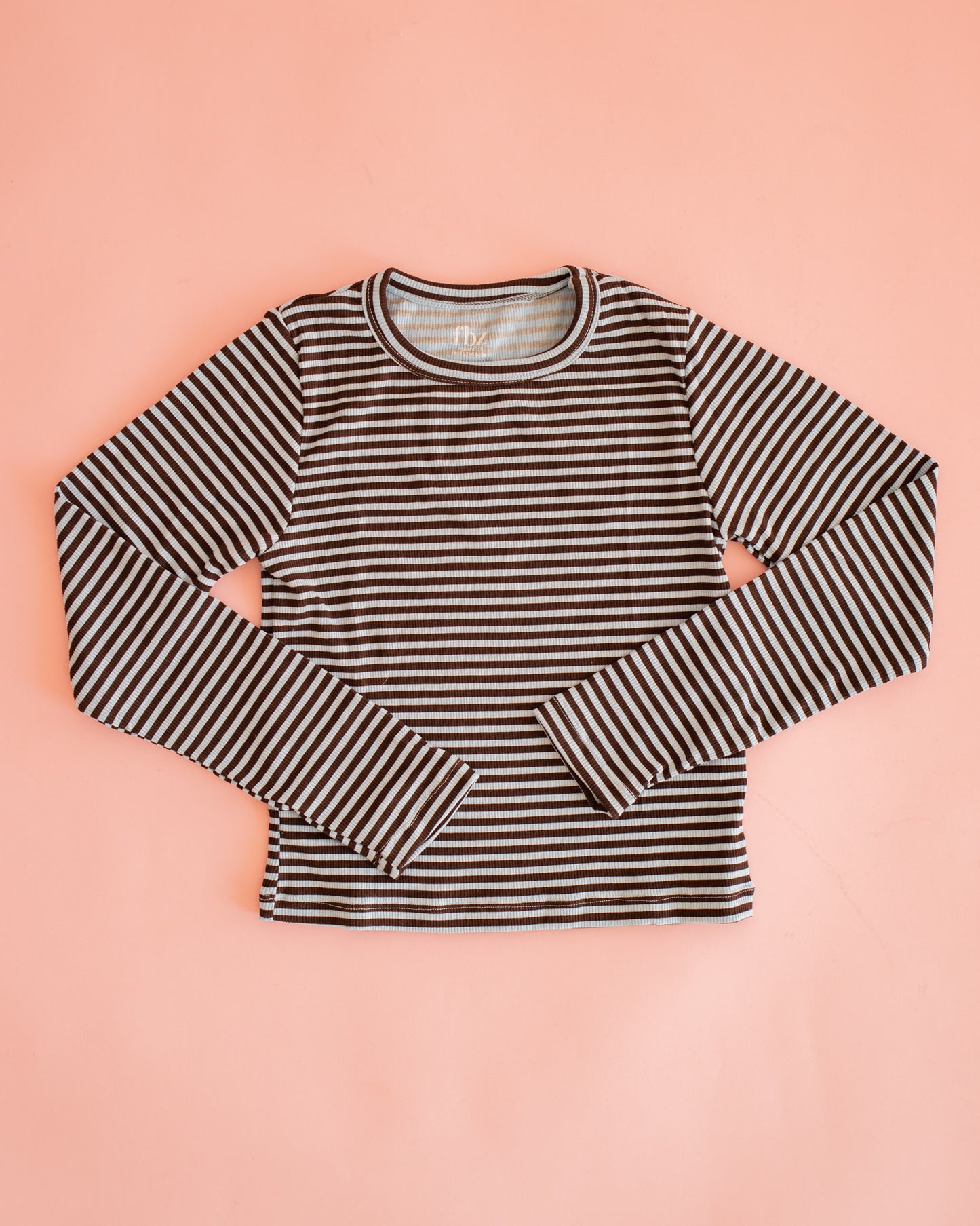 Rib Long Sleeve | Baby Blue and Brown Stripe