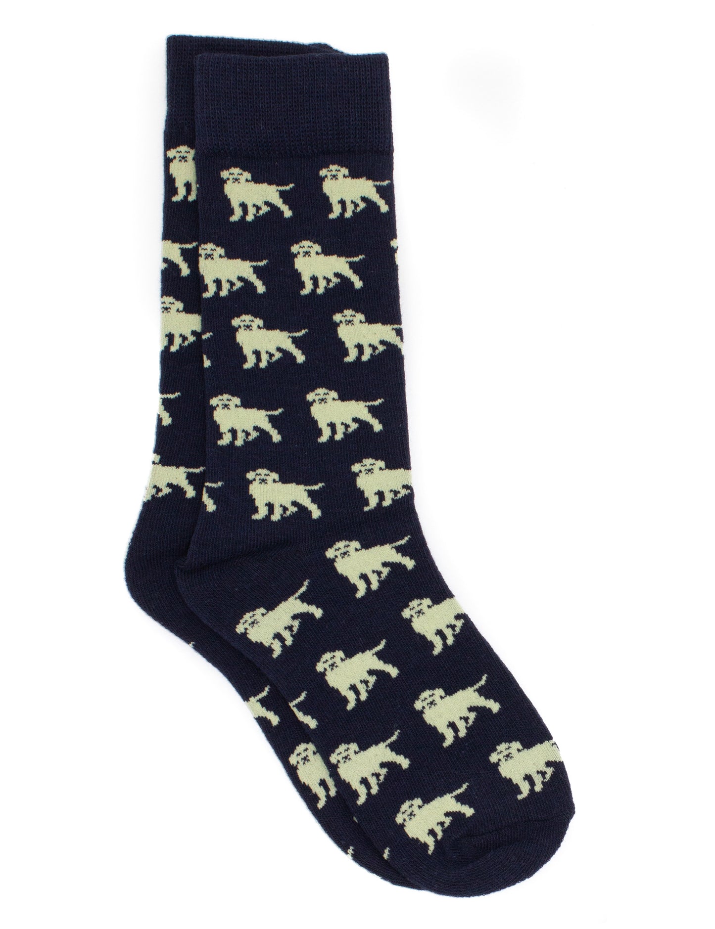 Boys Lucky Duck Sock | Golden Retriever