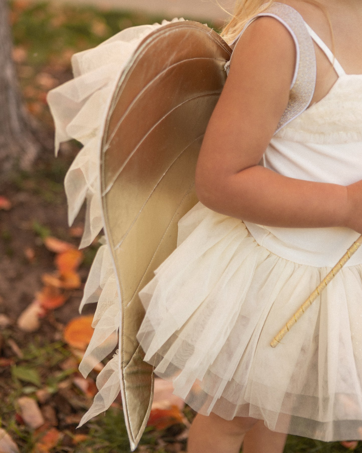 ANGEL WINGS IVORY SHIMMER