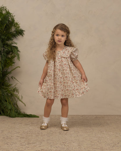 LORI DRESS HOLLY VINES