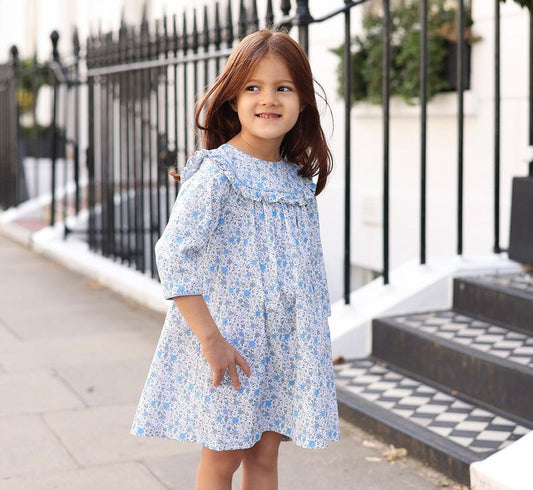 French Blue Floral Dress