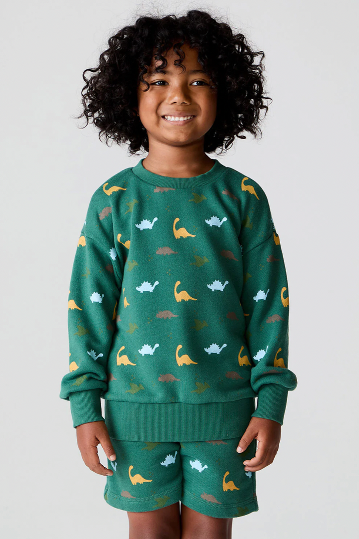 Dino Party Pullover