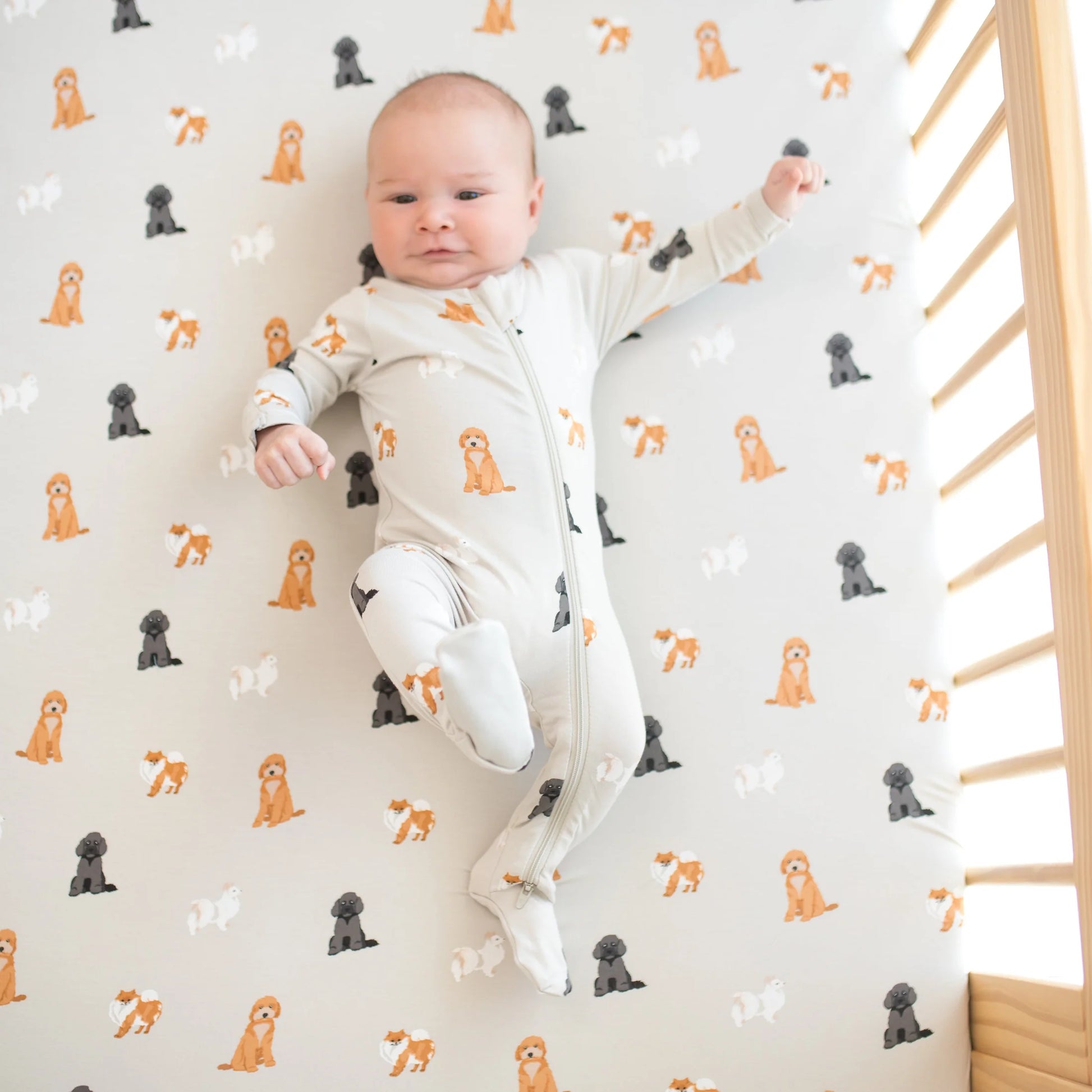Zippered Bamboo Footie | Fluffy Dog