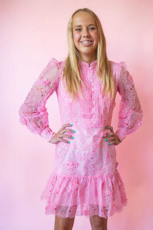 Prue Long Sleeve Embroidered Mini Dress