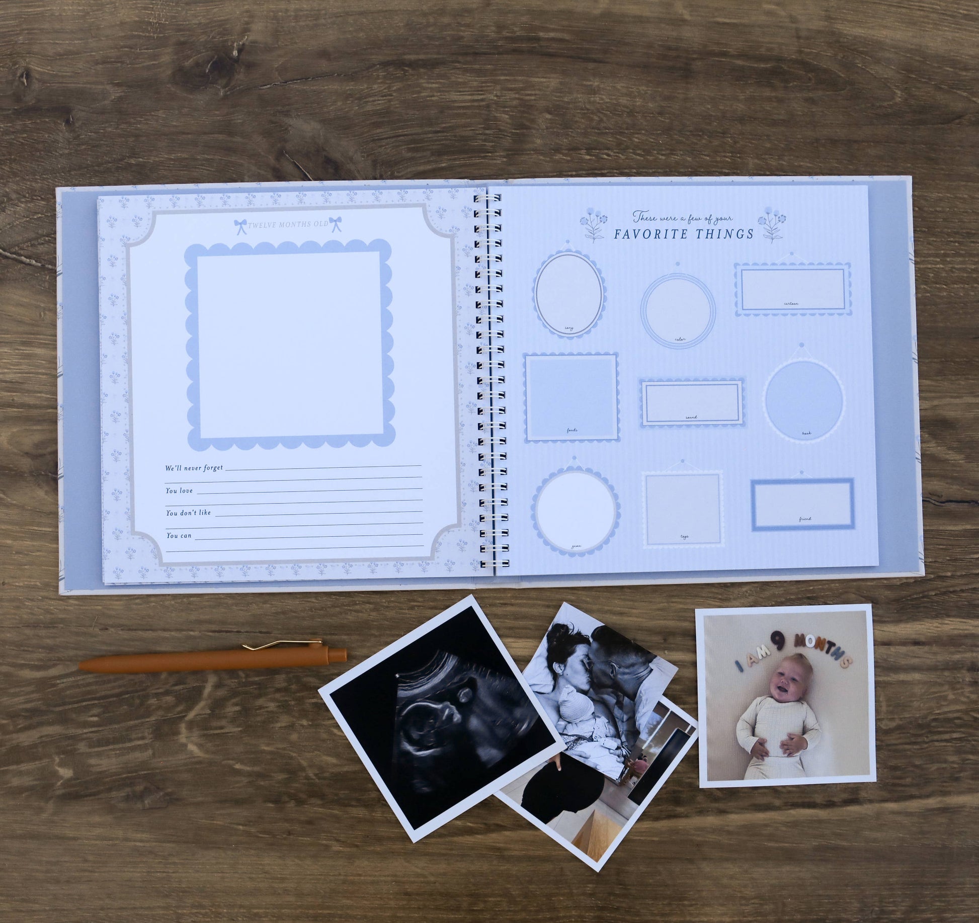 Little Goose Baby Memory Book