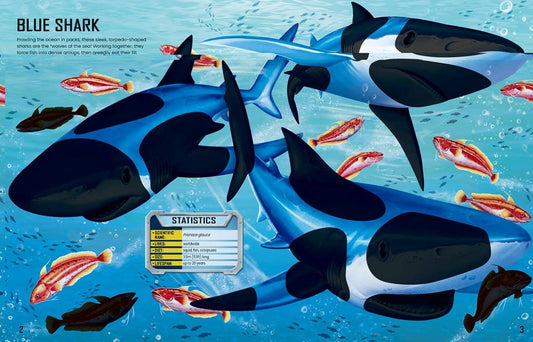 Build Your Own Sharks