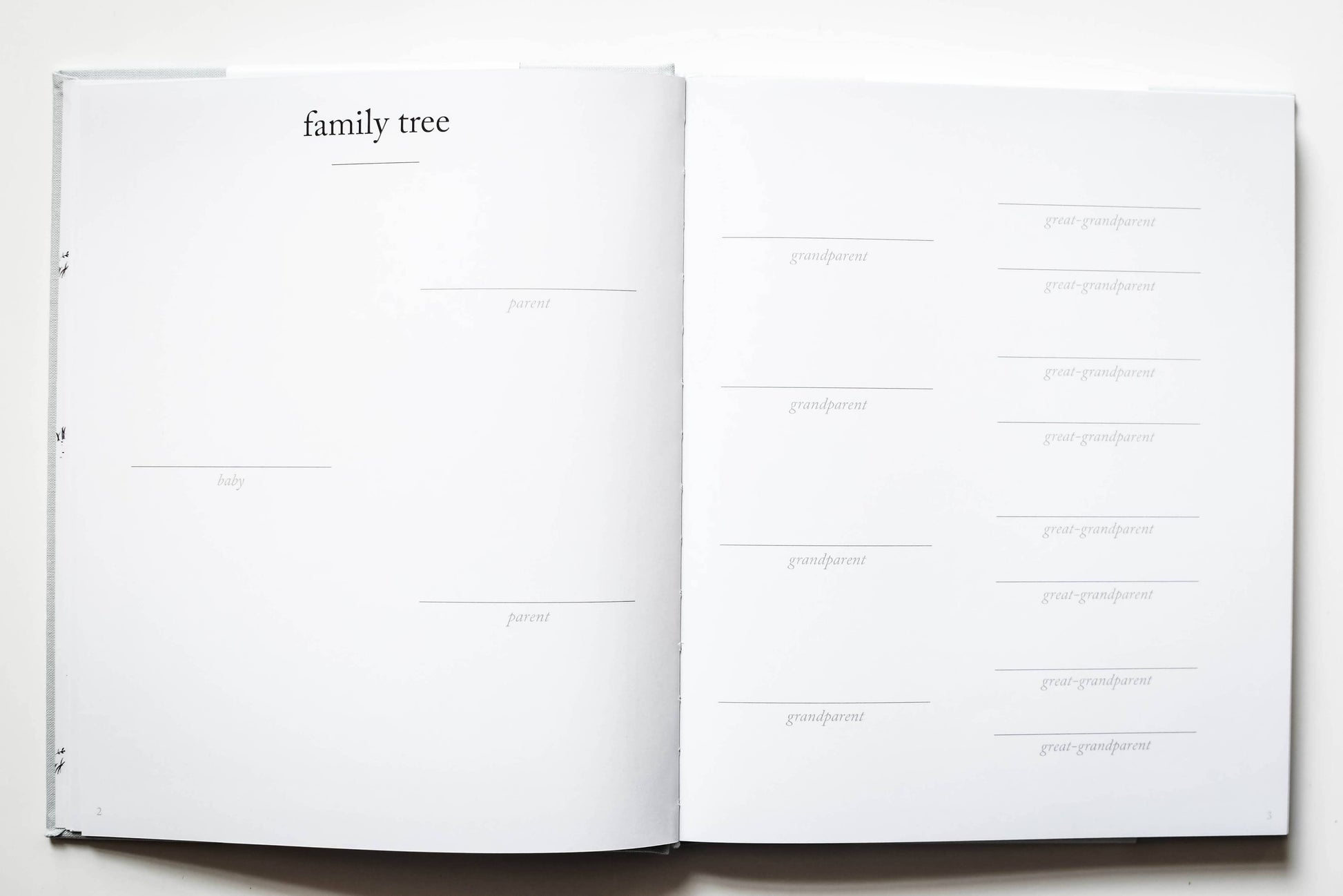 Baby's First Year Memory Book & Photo Album |  Dusty Rose