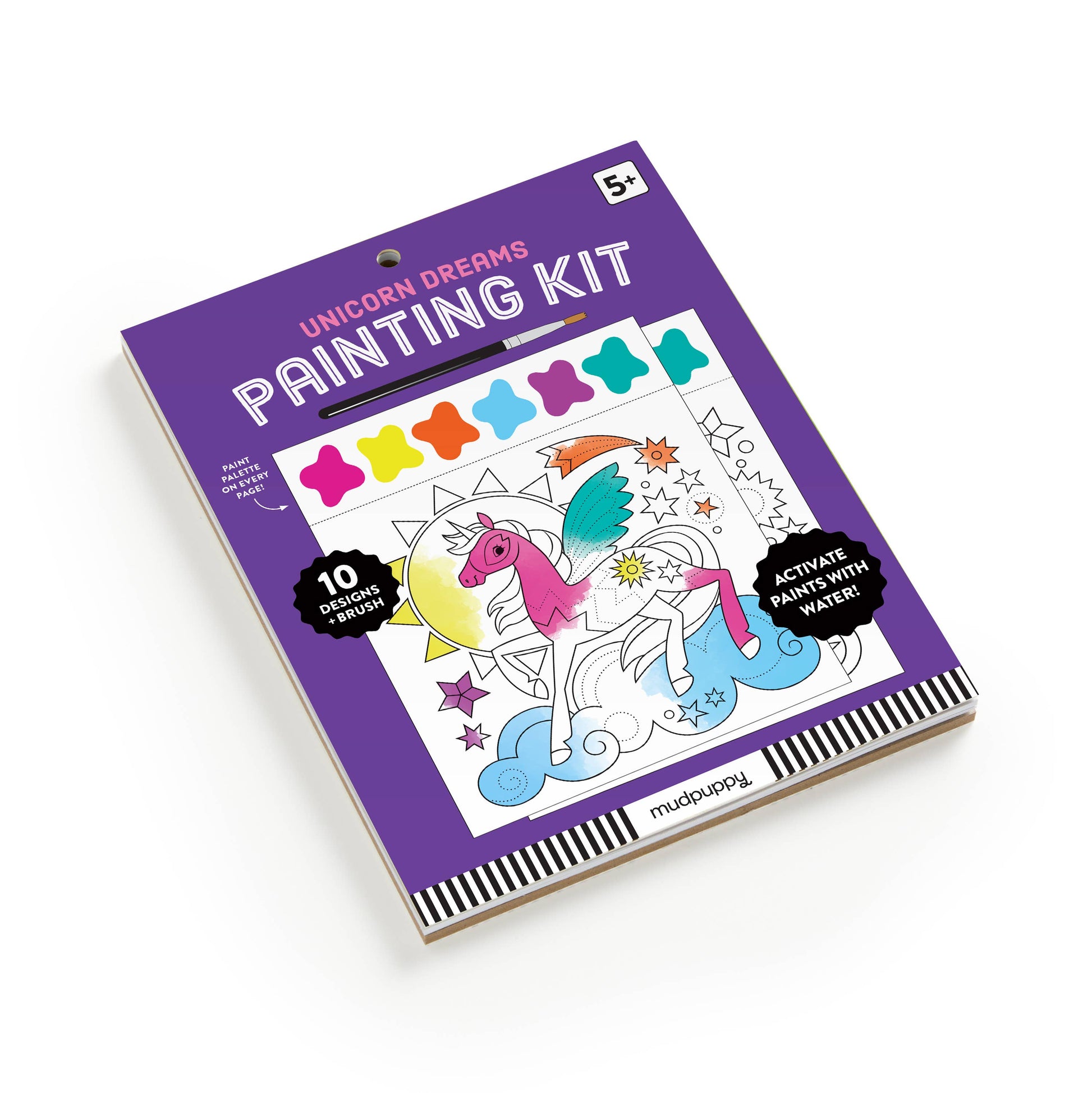 Unicorn Dreams Painting Kit