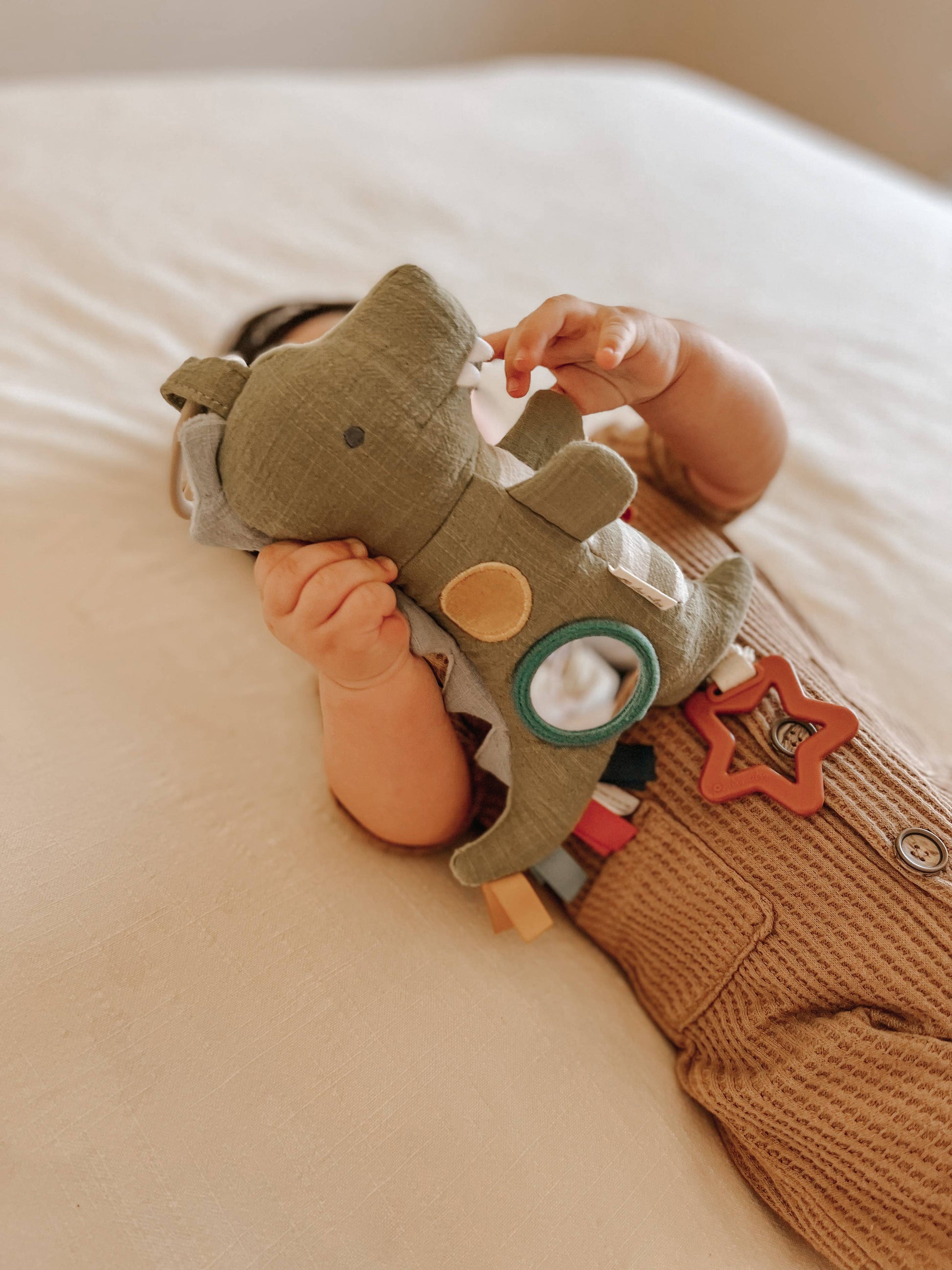 Bitzy Traveler | Mushroom