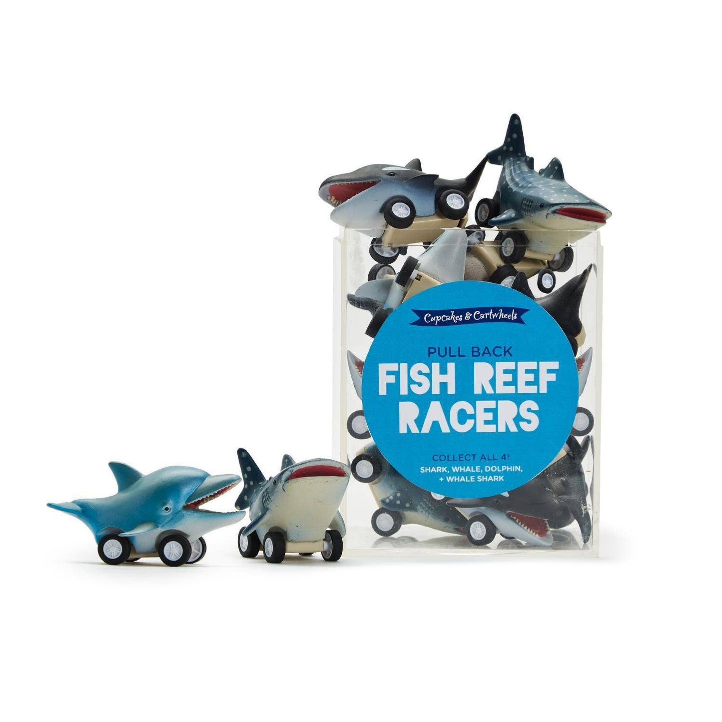 Fish Pull Back Toy | Assorted