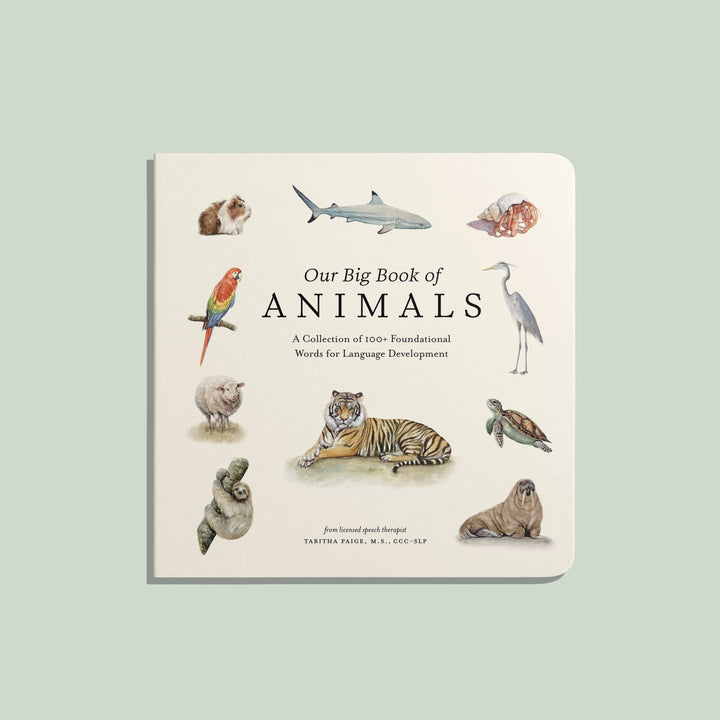 Our Big Book of Animals | Board Book