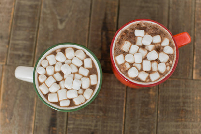 Christmas Camper Mug | Oh What Fun