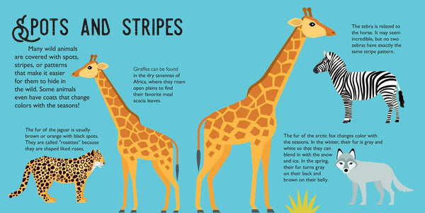 Panoramic Pop-Ups: Wild Animals