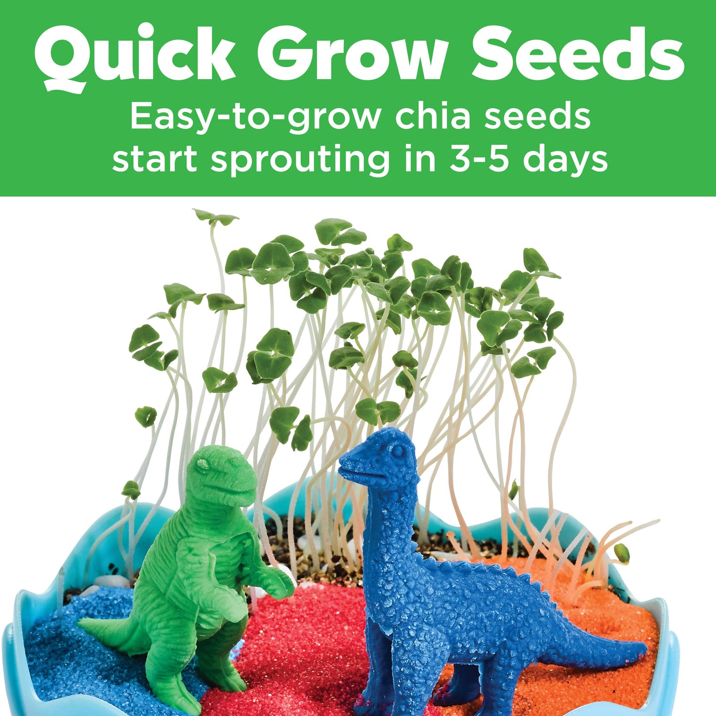 Grow a Mini Garden | Dinosaur