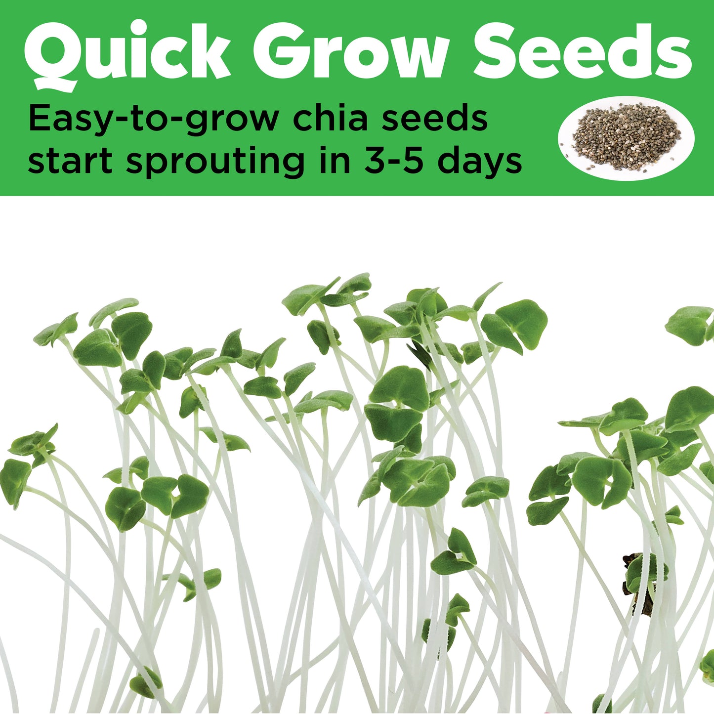 Grow a Mini Garden | Pony