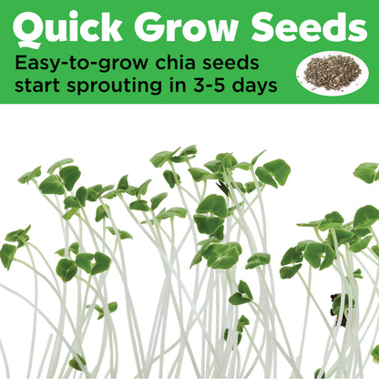 Grow a Mini Garden | Pony
