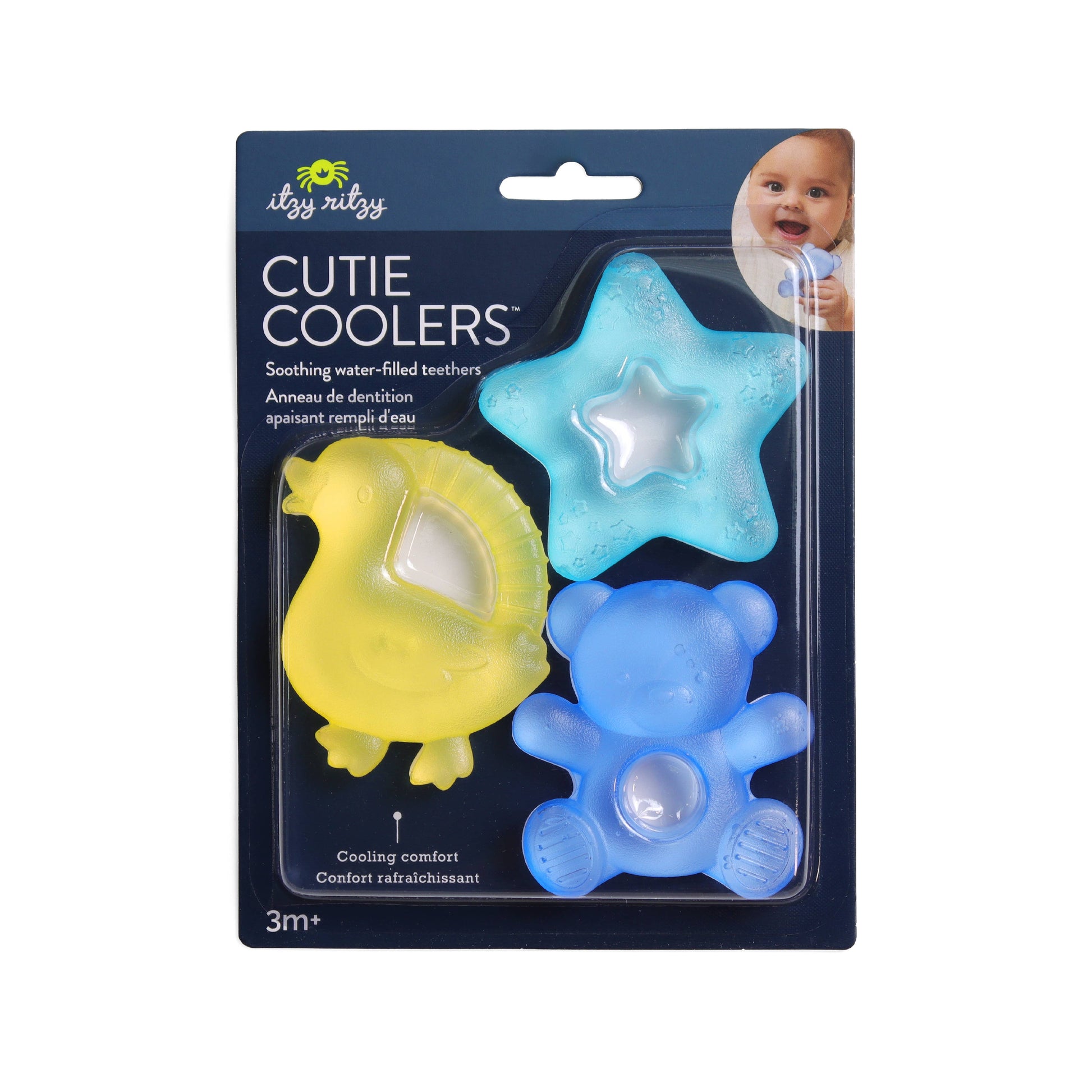 Bear Cutie Coolers