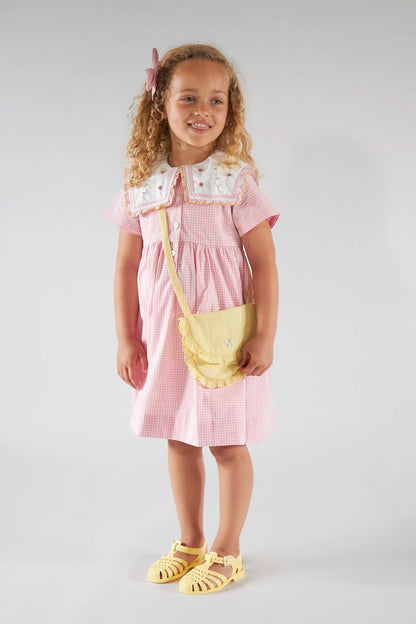 Paolina Dress I Candy Pink Small Gingham