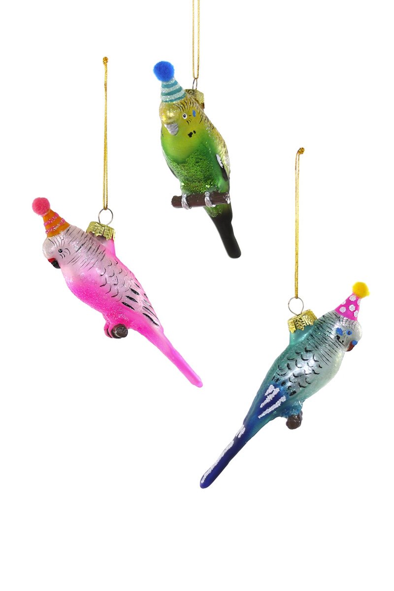 Party Parakeet Ornament | Assorted