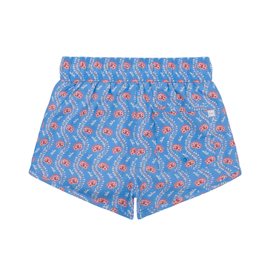 Boardie | Blue Primrose