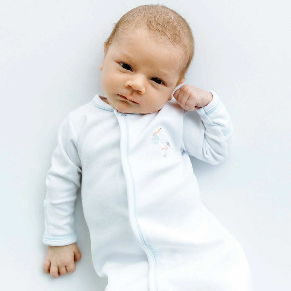 Vintage Stork Converter | Light Blue