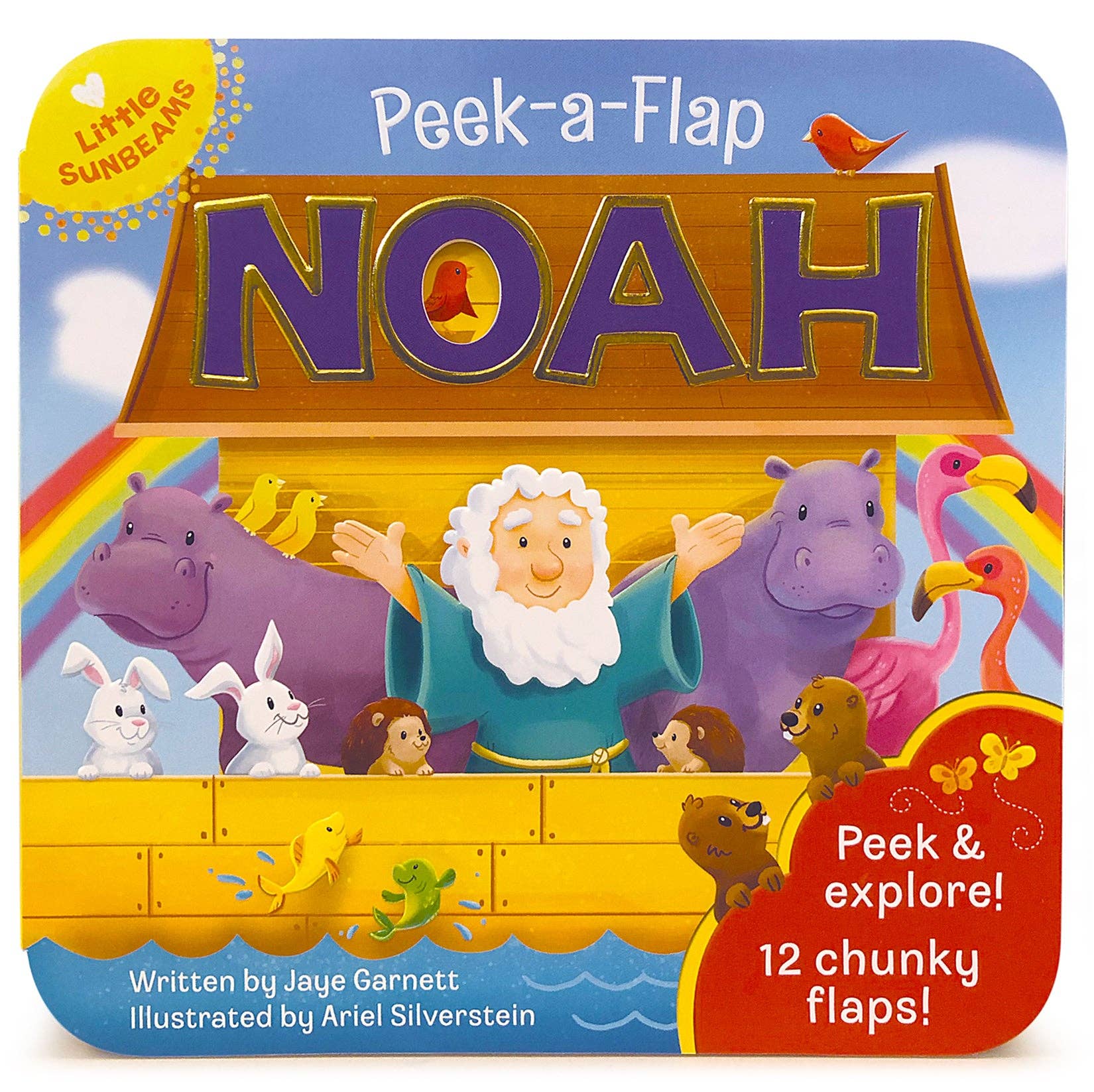 Noah Peek-a-Flap