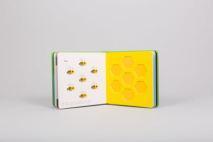 Touch Think Learn: Little Critters