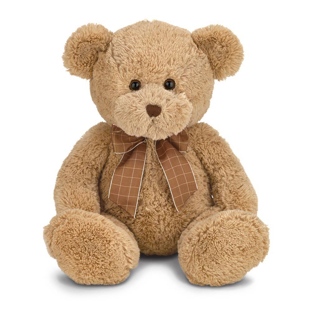 Bensen the Teddy Bear
