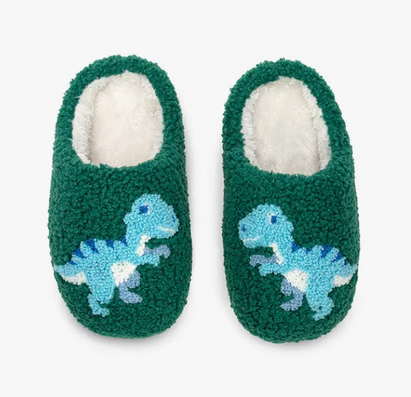 Dino Slippers | Kids