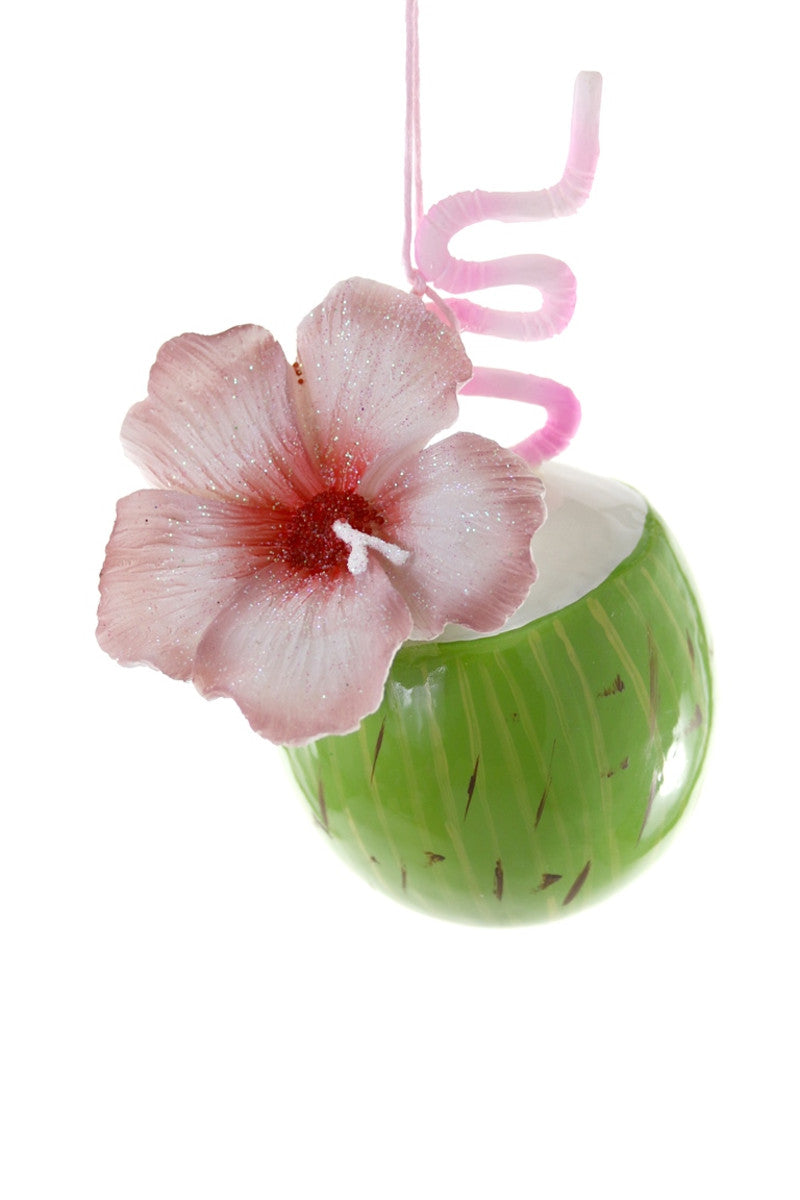 Tropical Coconut Water Ornament